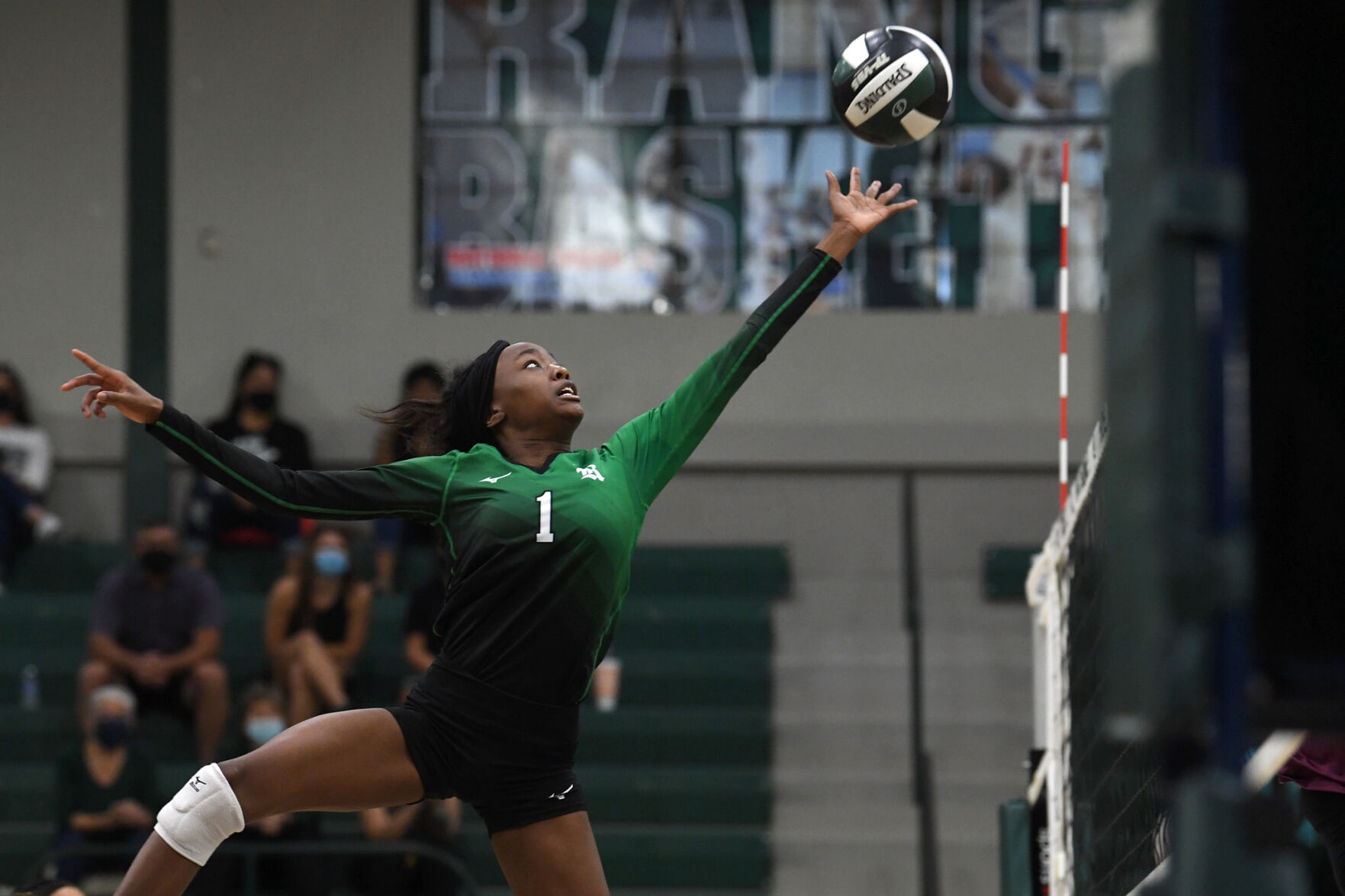 Rudder vs. Magnolia West